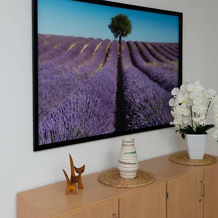 公寓 Panoramablick - Traumhaft! Ober-Hambach